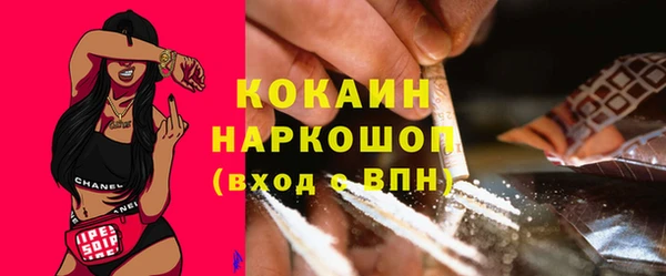 прущие грибы Беломорск