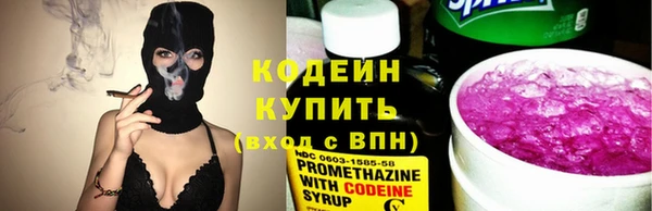 прущие грибы Беломорск