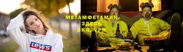 прущие грибы Беломорск