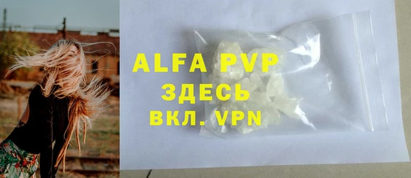 спиды Белокуриха