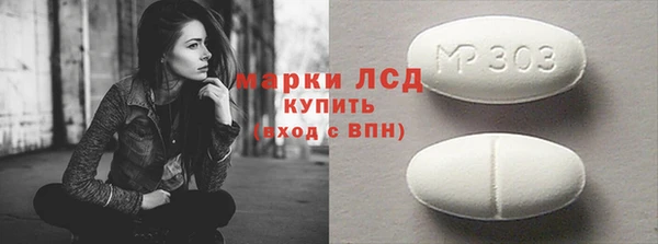 прущие грибы Беломорск