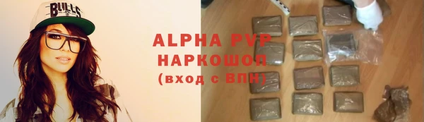 прущие грибы Беломорск