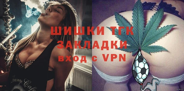 прущие грибы Беломорск