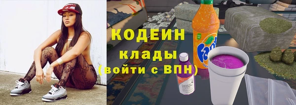 прущие грибы Беломорск