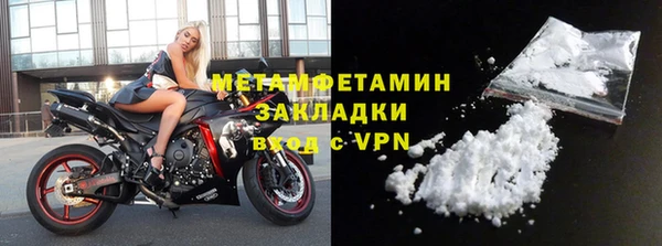 прущие грибы Беломорск