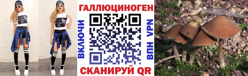 OMG рабочий сайт  Котельниково  Псилоцибиновые грибы GOLDEN TEACHER 