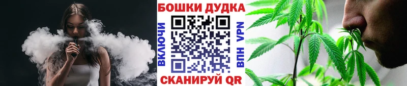 Бошки марихуана SATIVA & INDICA  Котельниково 